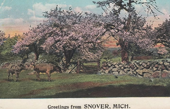 Snover - Old Postcard For Snover (newer photo)
